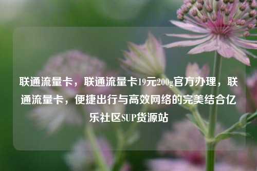 联通流量卡，联通流量卡19元200g官方办理，联通流量卡	，便捷出行与高效网络的完美结合亿乐社区SUP货源站  第1张
