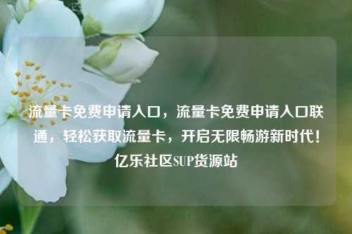 流量卡免费申请入口，流量卡免费申请入口联通，轻松获取流量卡	，开启无限畅游新时代！亿乐社区SUP货源站  第1张